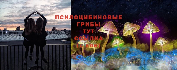 apvp Белокуриха