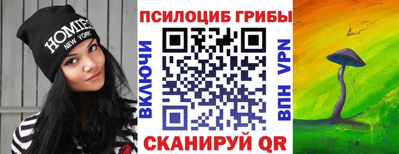 цена   Терек  Псилоцибиновые грибы прущие грибы 